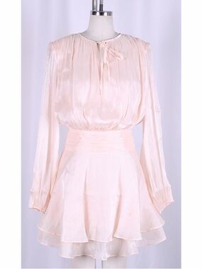 Metallic Chiffon Mini Dress